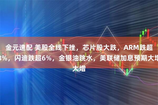 金元速配 美股全线下挫，芯片股大跌，ARM跌超8%，闪迪跌超6%，金银油跳水，美联储加息预期大增