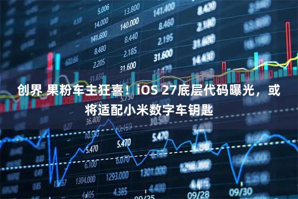 创界 果粉车主狂喜！iOS 27底层代码曝光，或将适配小米数字车钥匙